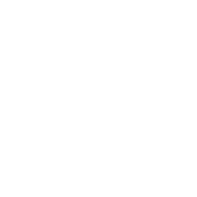 CARMINA STRINGS